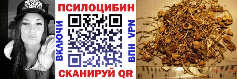 как найти закладки  Сорочинск  Галлюциногенные грибы Psilocybe 